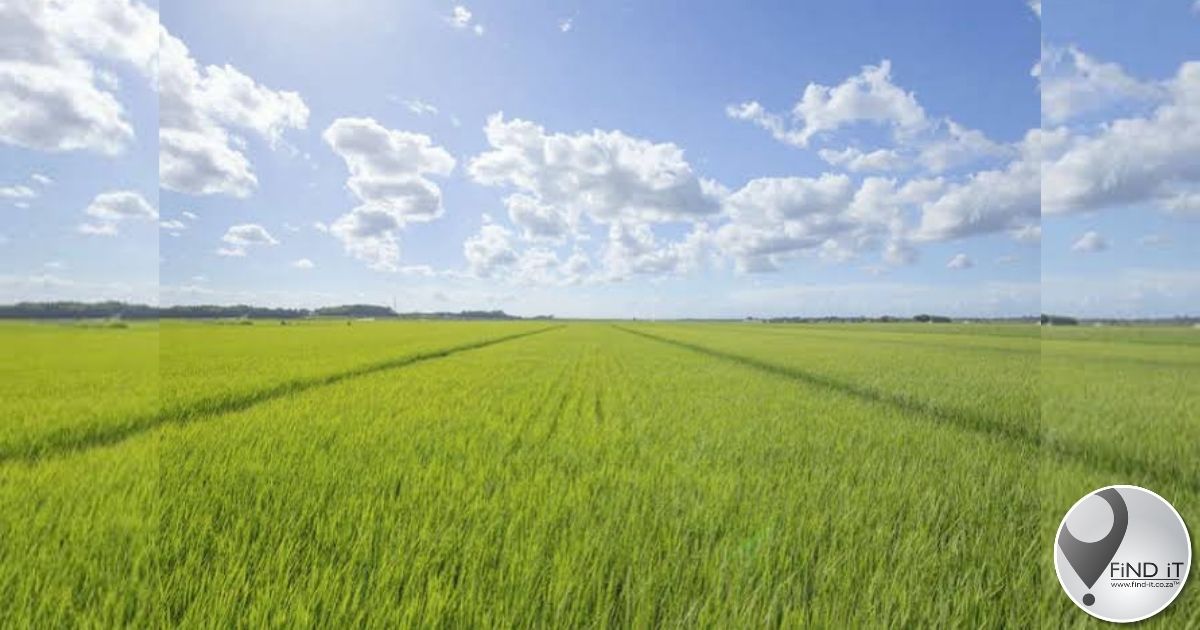 Plaaseienaar, vrou en dogter op plaas aangeval, aangehou, geskiet