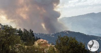 Algeria forest fires: Dozens killed in Kabylie region