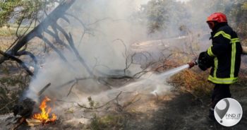 France wildfire: Thousands evacuated as blaze rages near Riviera