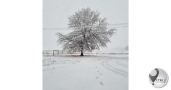 Gauteng snowfall predictions a hoax – no snow expected for Joburg or Pretoria