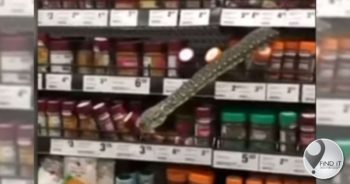 Python adds some extra zing to spice section in Woolworths