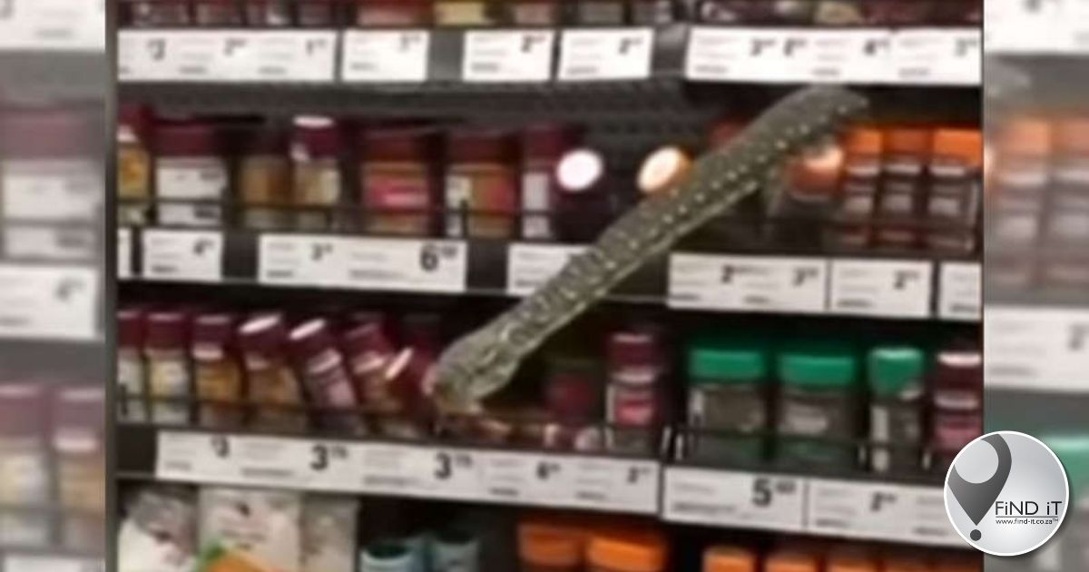 Python adds some extra zing to spice section in Woolworths