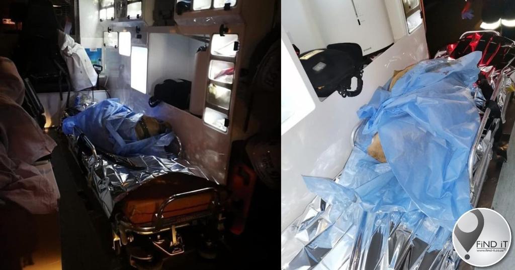 Paramedici help beseerde hond se lewe red