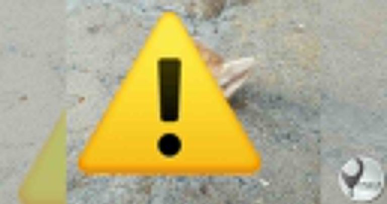 Manenberg-katslagter slaan weer toe, R20 000 belonging