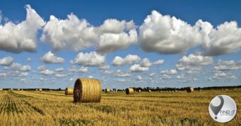 Land expropriation without compensation ‘now unlikely to go ahead’ – report