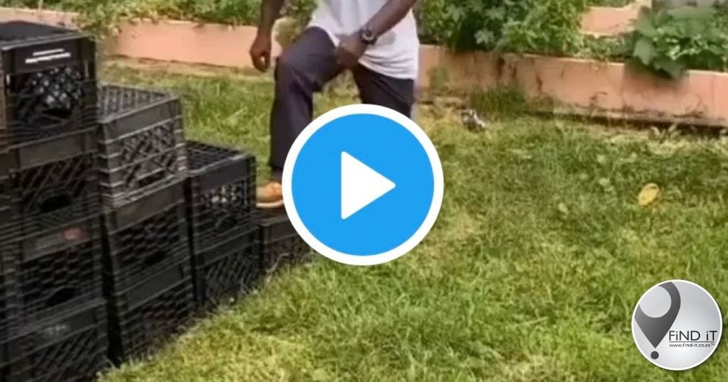 Milk Crate-uitdaging - dokters smeek TikTok-gebruikers om te stop