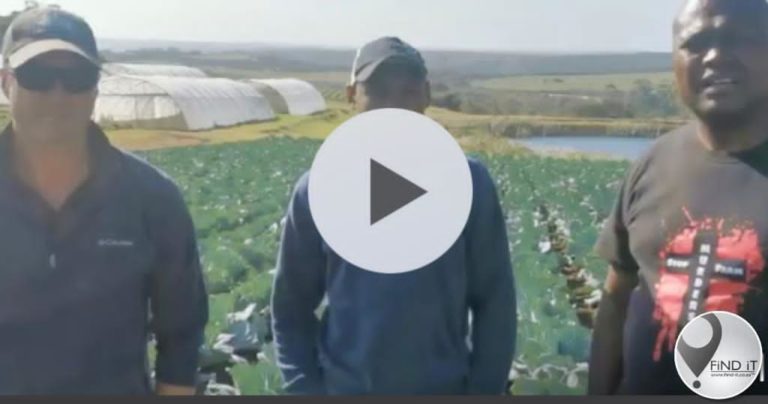 KYK: Boer gesels na sy gesin op hul plaas aangeval is