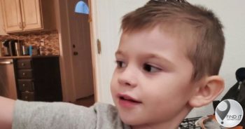 Seuntjie vir ure vermis, dood in speelgoedkis gevind