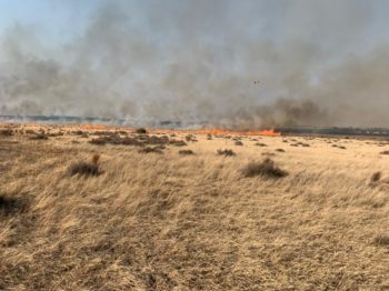 Brande laat boere 'magteloos' (Foto: Verskaf)