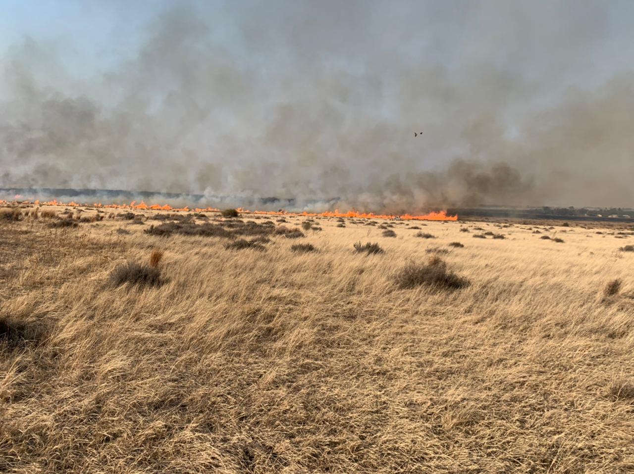 Brande laat boere 'magteloos' (Foto: Verskaf)