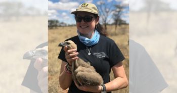 Beryl Wilson: Nature conservation, journalism, and crime psychology