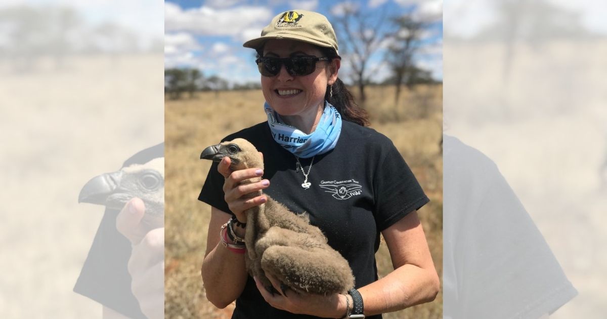 Beryl Wilson: Nature conservation, journalism, and crime psychology