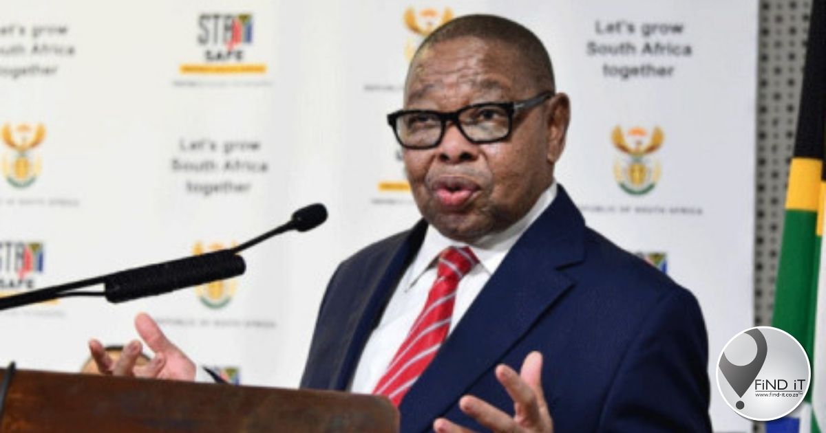 Nzimande denies DA claim that he hates Afrikaans
