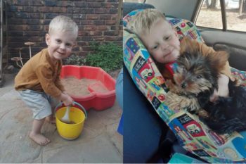 Klein Daniel kry nuwe hondjie na sy hondjie skielik dood is