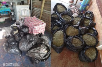 Man vas oor meer as 'n kwartmiljoen se dagga