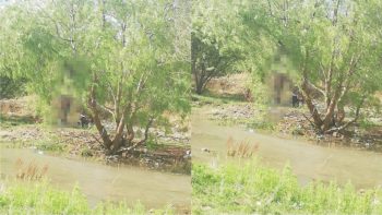 Liggaam aan boom in veld in Kimberley gevind