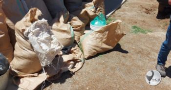 Two behind bars for possession of Cannabis in Kimberley