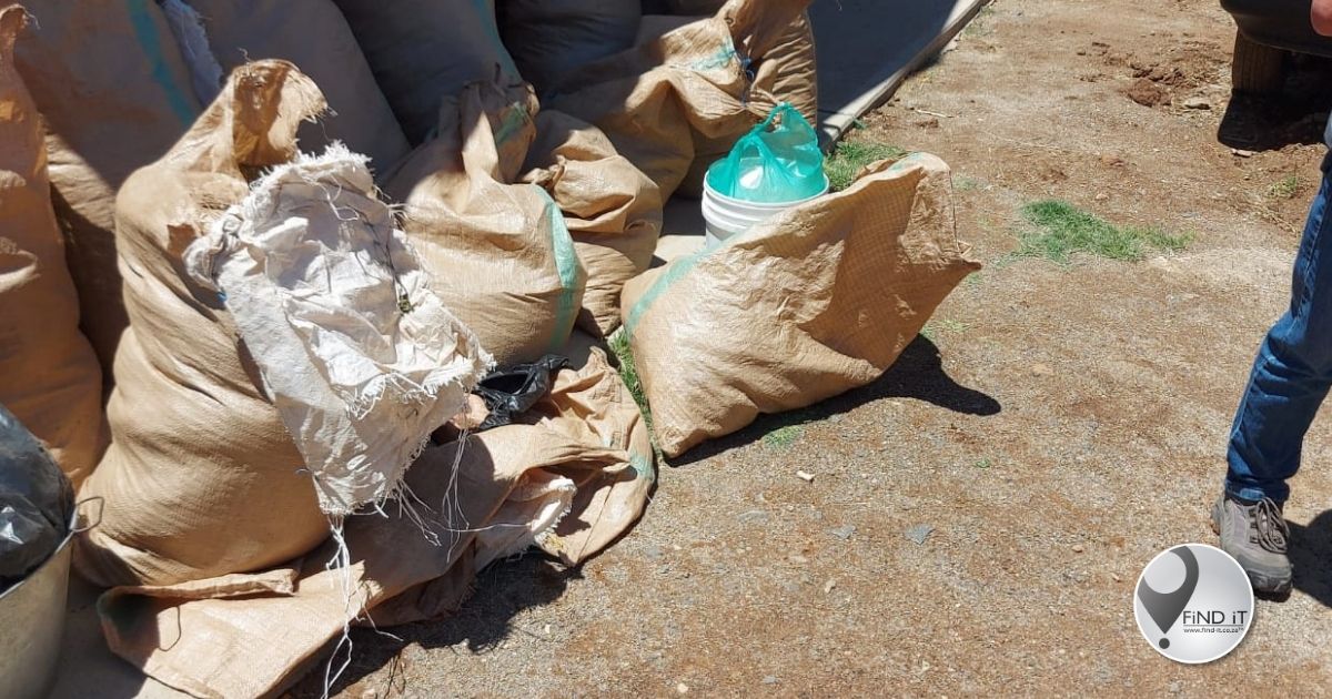 Two behind bars for possession of Cannabis in Kimberley