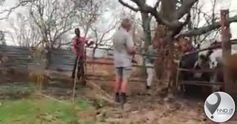 Boer Garth vandag wéér in die hof