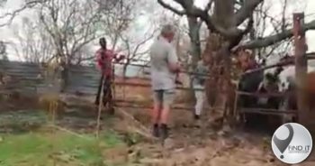 Video waarin boer glo 17-jarige doodgeskiet, versprei soos veldbrand