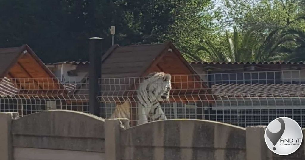 Boksburg aan die gons oor tiere op erf langs kleuterskool