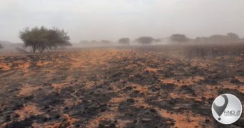 FOTO'S: Een brand, miljoene se skade vir boer
