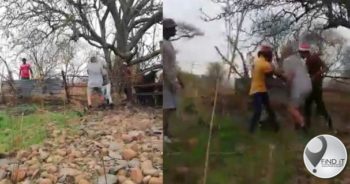 SKERMGREPE: 17-jarige deur boer doodgeskiet