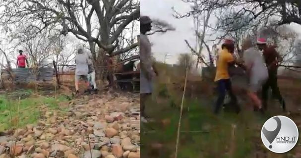 SKERMGREPE: 17-jarige deur boer doodgeskiet