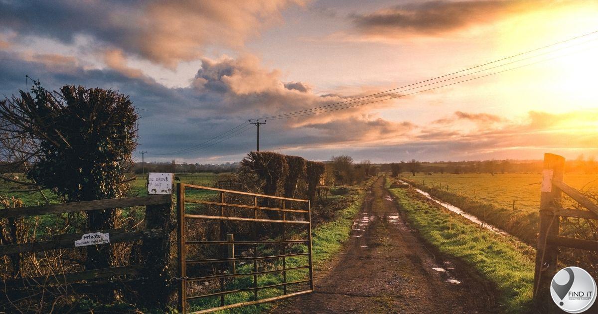 Plaasmoorde: boere laat vaar plase uit vrees vir veiligheid