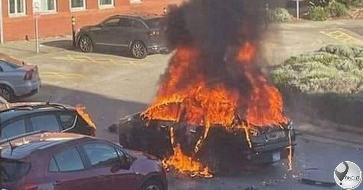 Taksibestuurder nou held na hy bomwerper keer