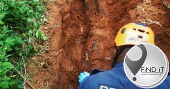 Police link skull buried in shallow grave to body parts found in Soweto fridge