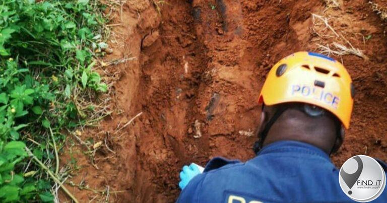 Police link skull buried in shallow grave to body parts found in Soweto fridge