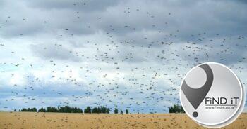 Rain brings relief to farmers