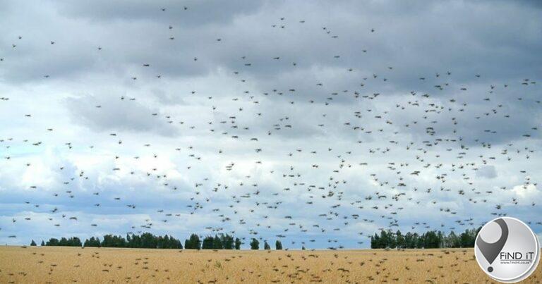 Rain brings relief to farmers
