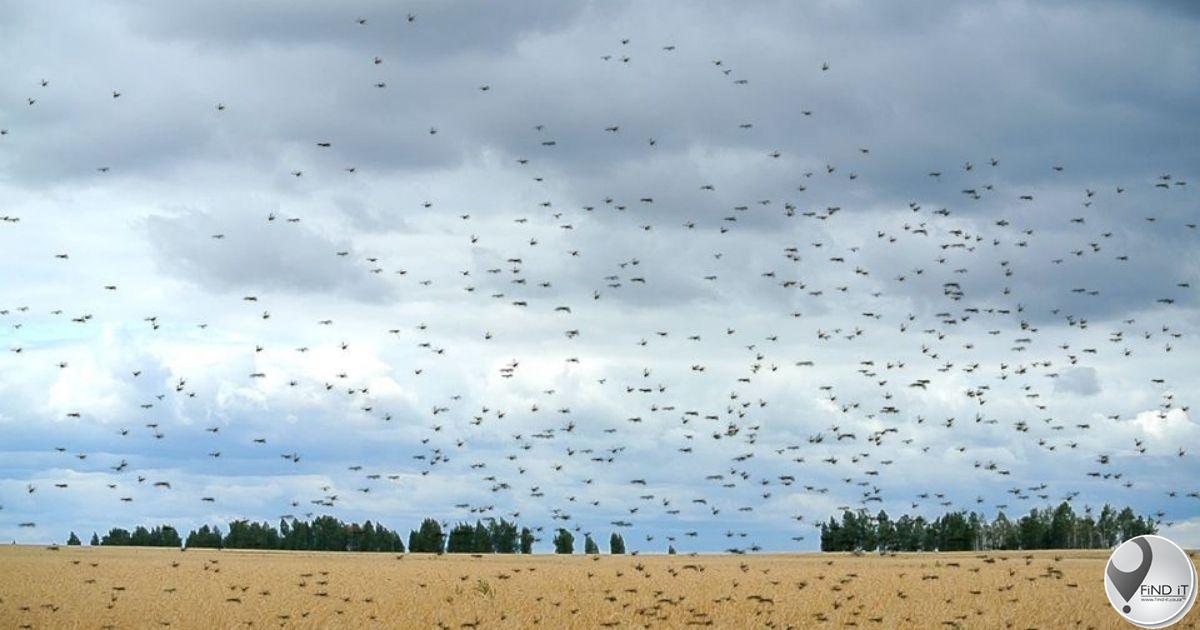 Rain brings relief to farmers