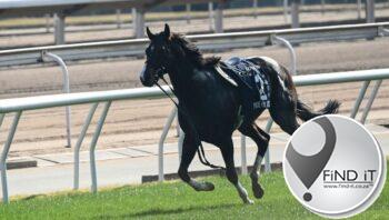 3 jockeys, 2 horses injured in track accident