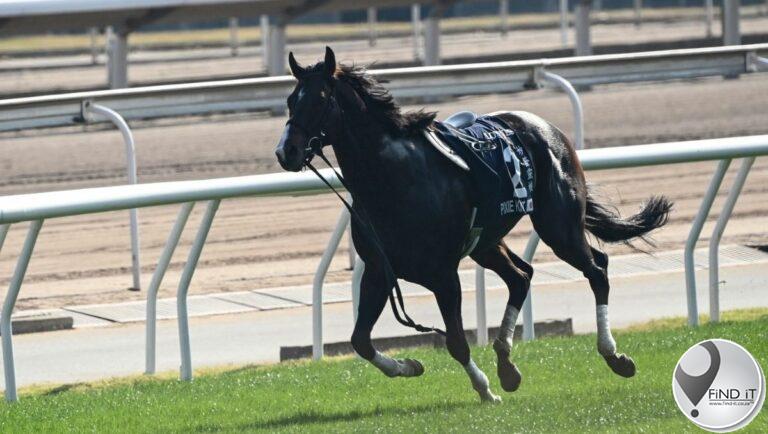 3 jockeys, 2 horses injured in track accident