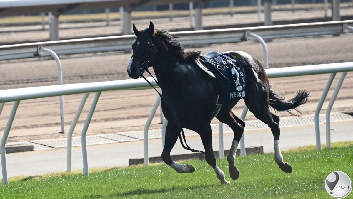 3 jockeys, 2 horses injured in track accident