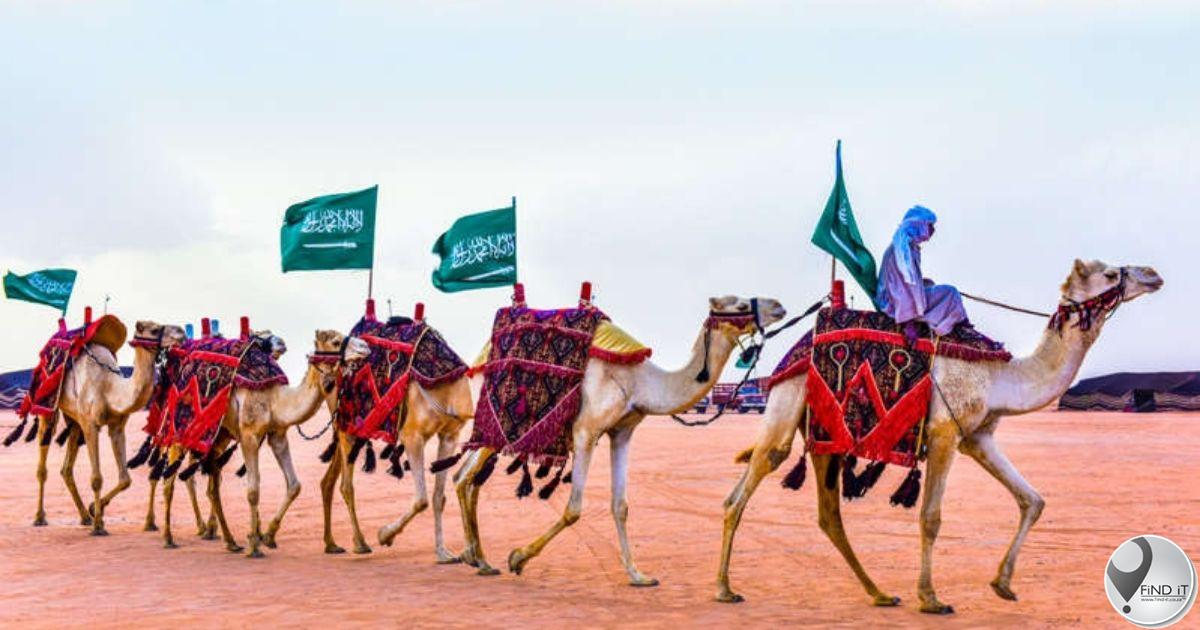 Dozens of camels disqualified from ‘beauty’ pageant over Botox injections
