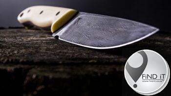 Elderly woman stabbed in head and neck