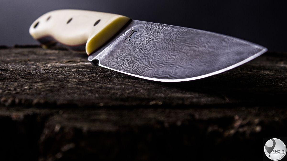 Elderly woman stabbed in head and neck