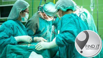 Wêreld se eerste toe twee varkniere in man oorgeplant word