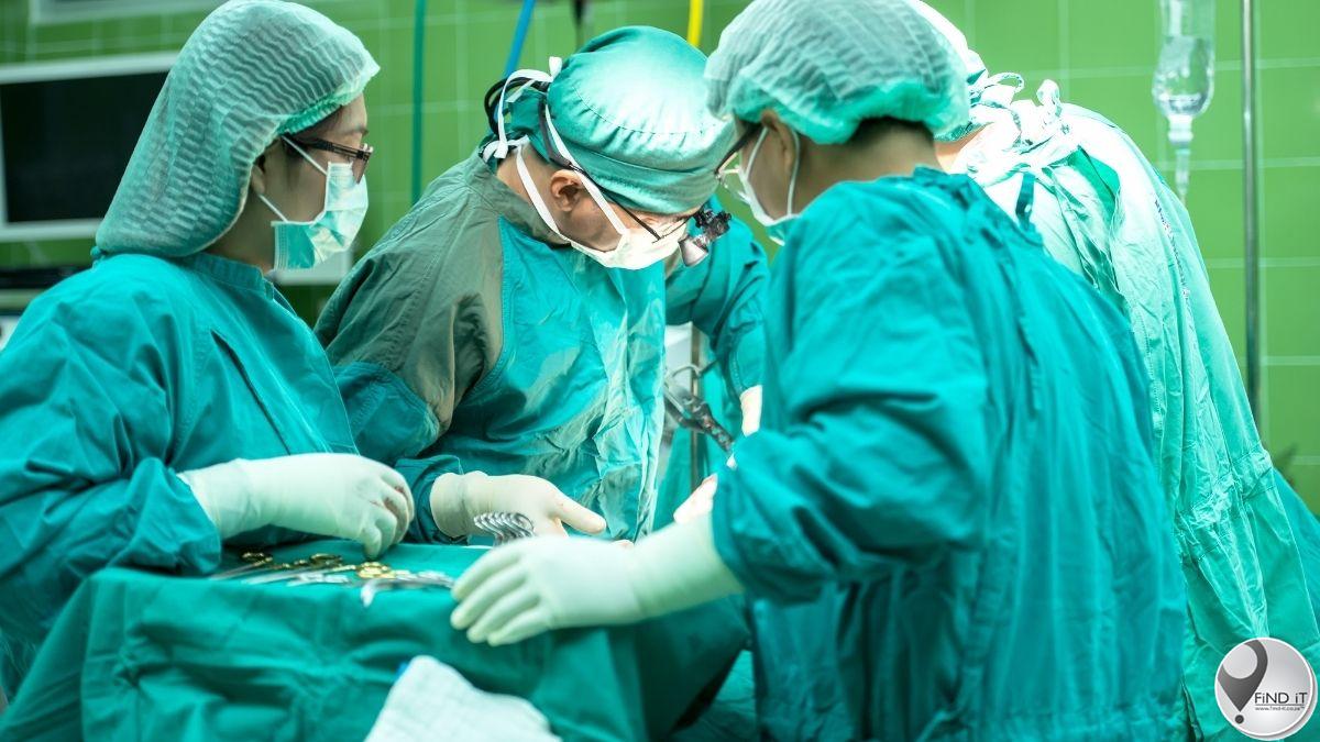 Wêreld se eerste toe twee varkniere in man oorgeplant word