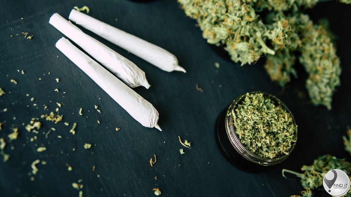 Trokdrywer in hegtenis vir vervoer van dagga