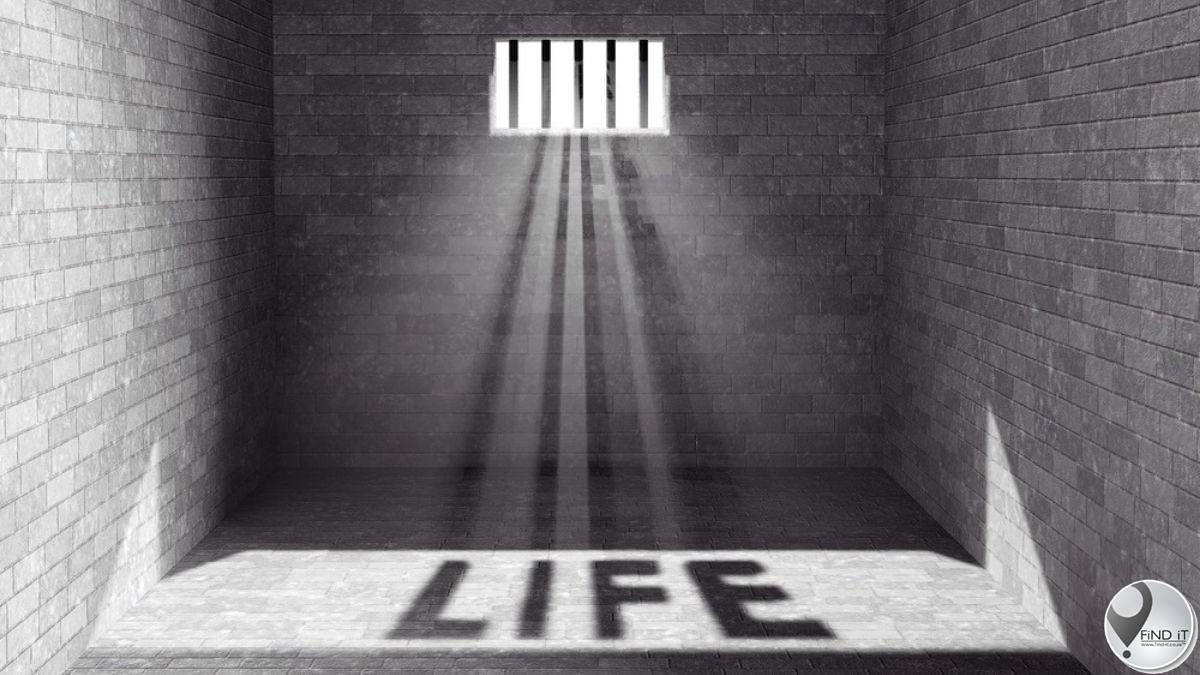 Life sentence