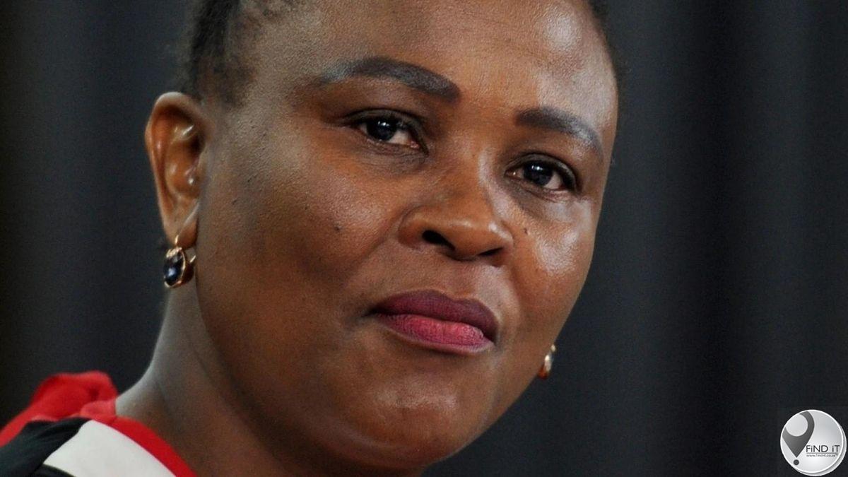 Public protector