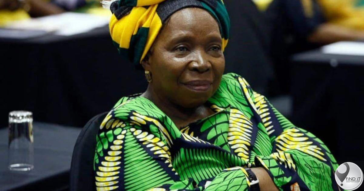 Dlamini-Zuma het 'n motor van R800k gekoop net voor eerste inperking