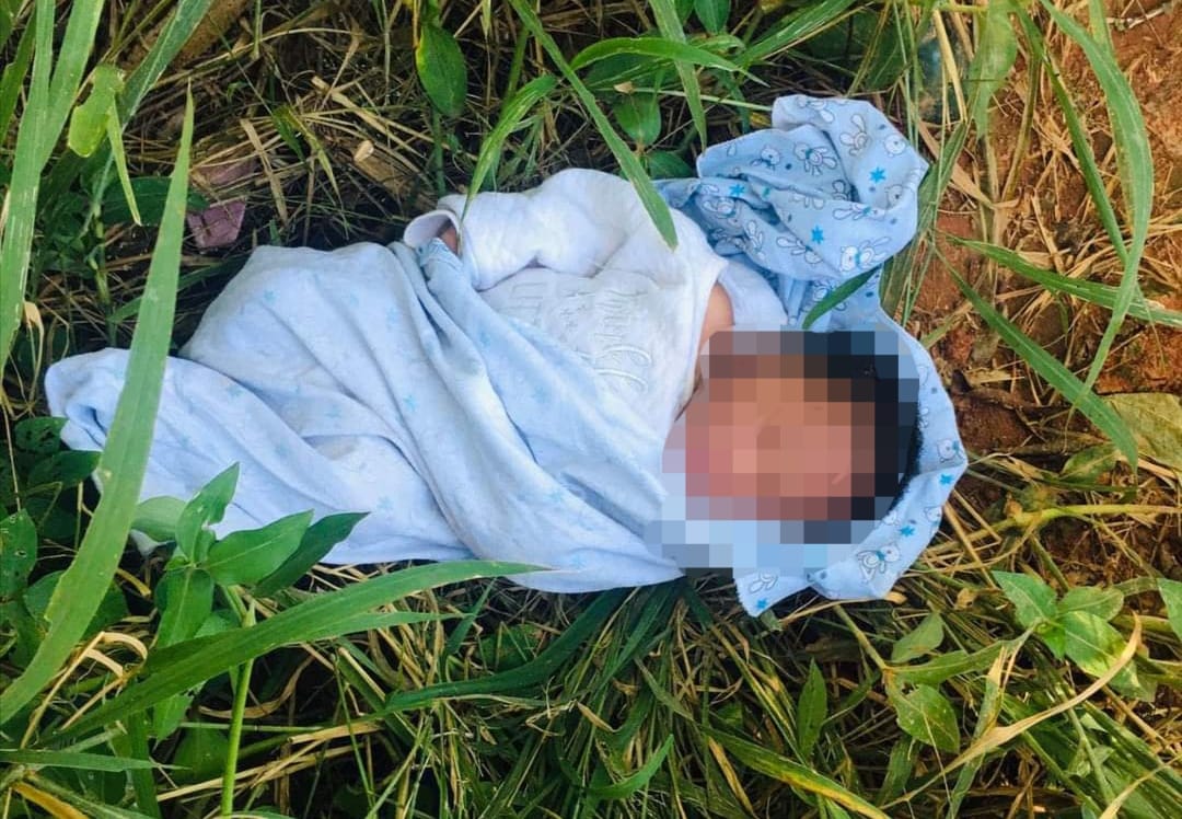 Graad 12-leerling ontdek pasgebore baba in veld (Foto: Laevelder / Lowvelder, Facebook)
