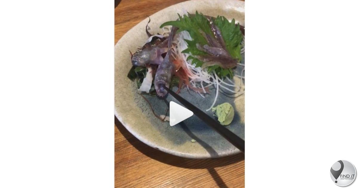 WATCH: Raw fish comes alive on plate at restaurant