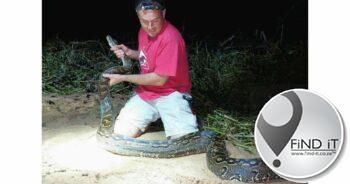 3 meter luislang spoel op na KZN-vloede